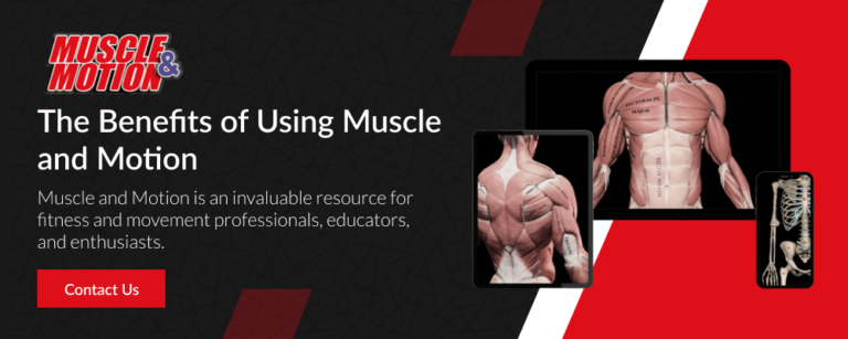 Muscle and Motion Graphics 1000x400 1 768x307
