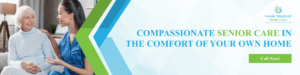 Gentle Shepherd Home Care In Home Care 1 300x75
