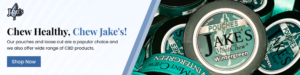 Jakes Mint Chew Healthy Tobacco Nicotine Free Dip and Chew 300x75
